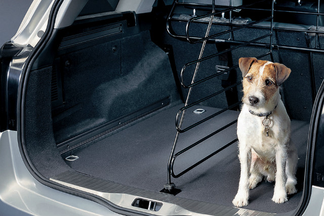 Affordable cars good for dogs 